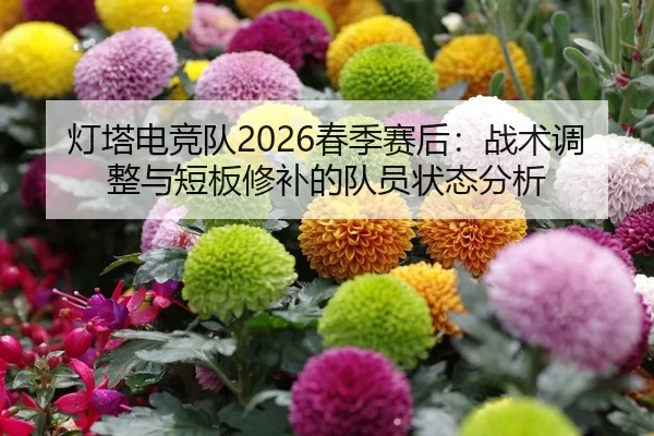灯塔电竞队2026春季赛后：战术调整与短板修补的队员状态分析
