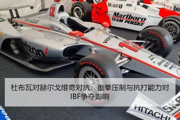 杜布瓦对赫尔戈维奇对抗：重拳压制与抗打能力对IBF争夺影响