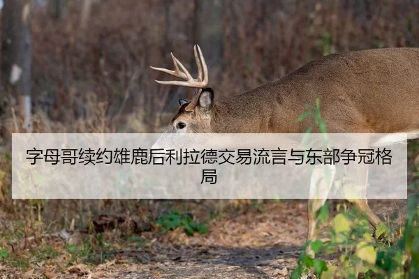 字母哥续约雄鹿后利拉德交易流言与东部争冠格局